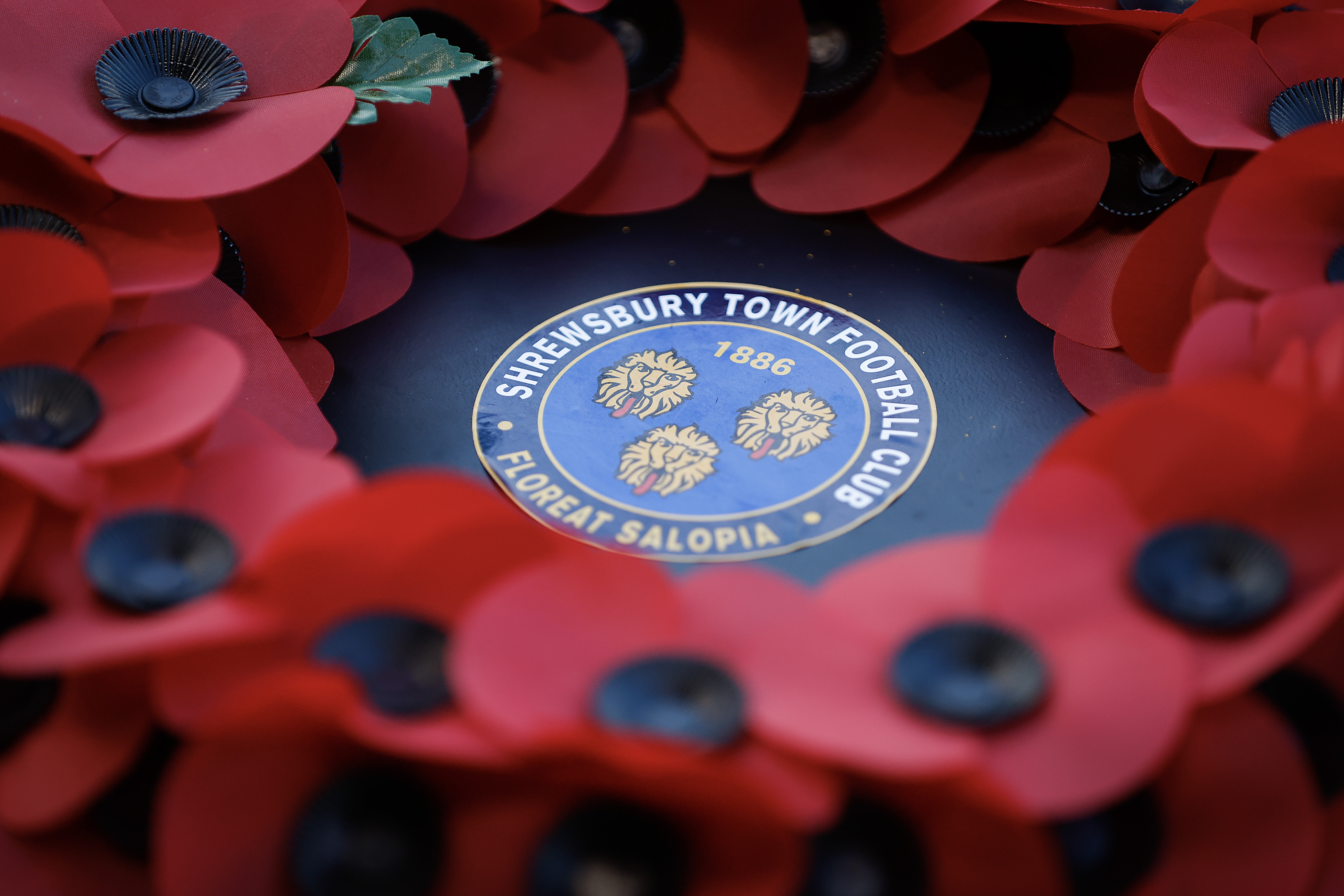 Remembrance Match to take place on November 15