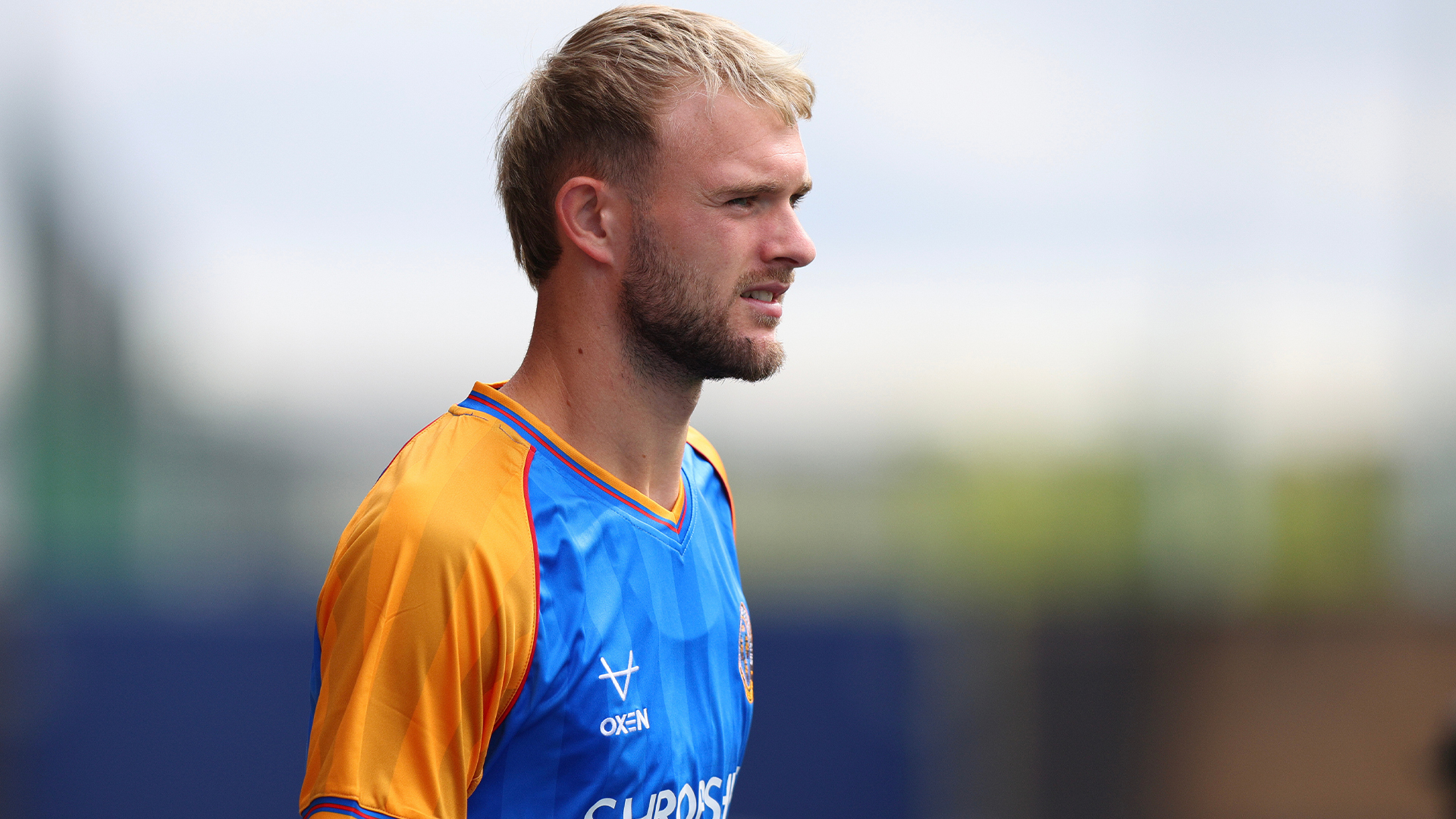 Pre-Wolves | Taylor Perry